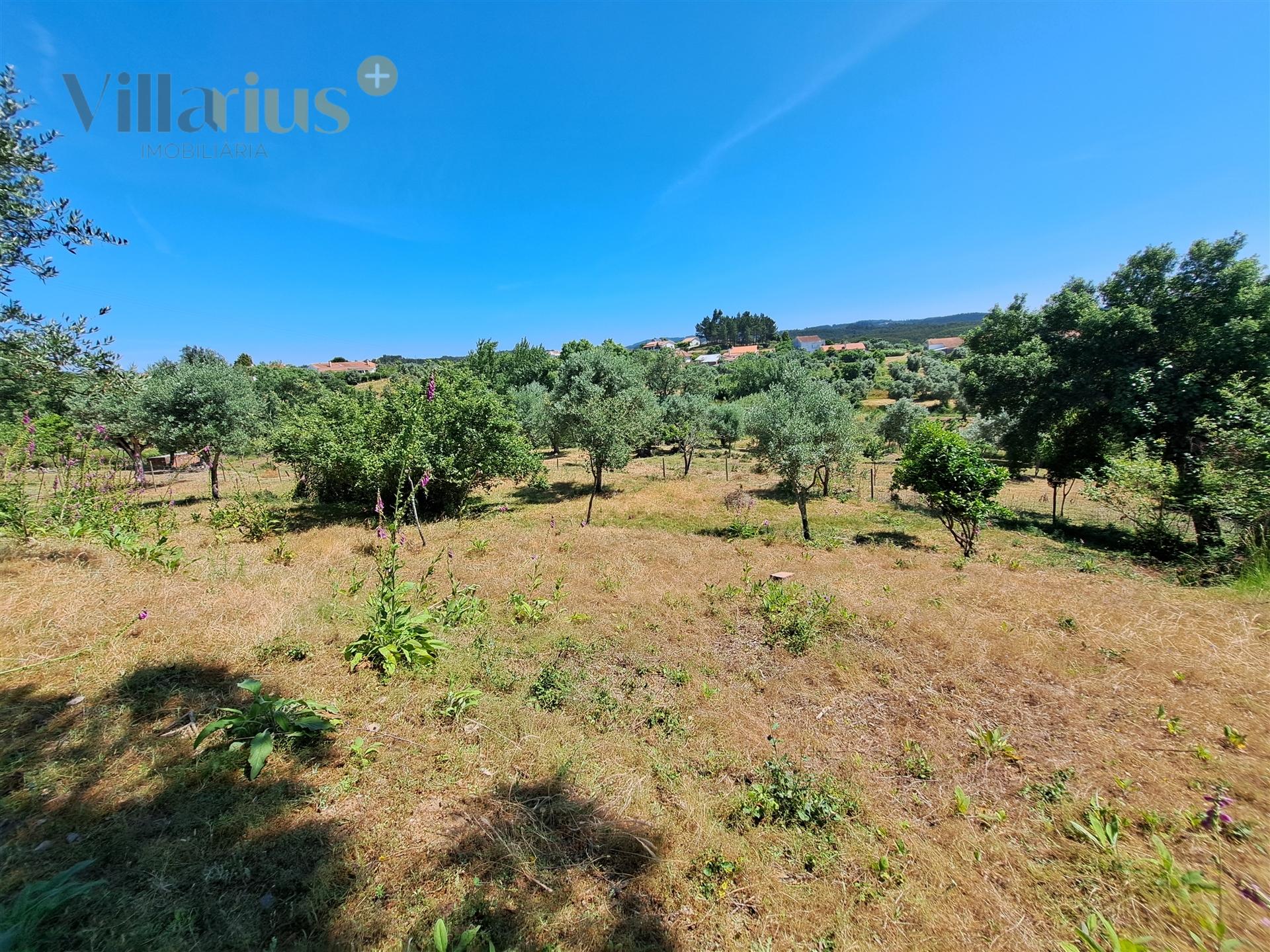 Terreno Urbano com Vista e Acesso Rápido a Tomar &#124; Villarius Imobiliária