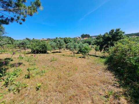 Terreno Urbano com Vista e Acesso Rápido a Tomar | Villarius Imobiliária