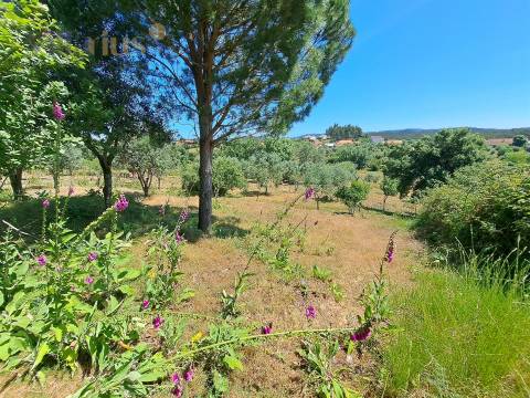 Terreno Urbano com Vista e Acesso Rápido a Tomar | Villarius Imobiliária