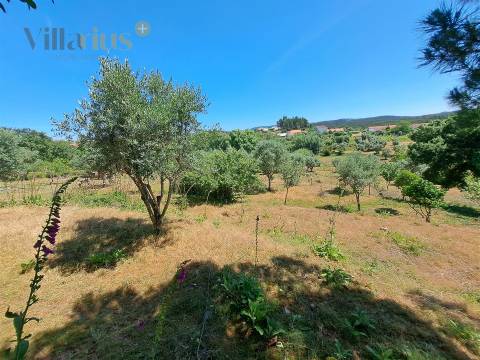 Terreno Urbano com Vista e Acesso Rápido a Tomar | Villarius Imobiliária