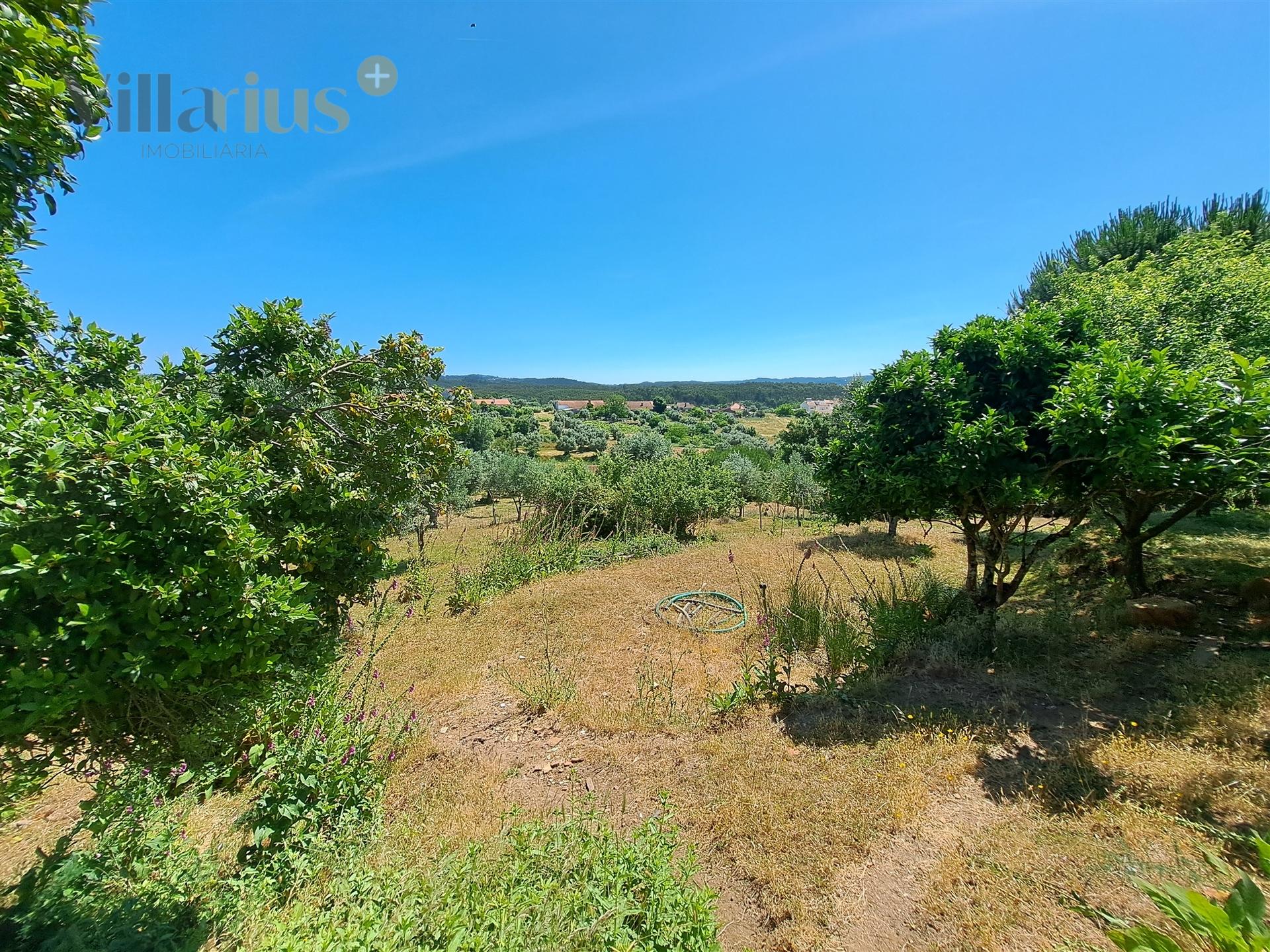 Terreno Urbano com Vista e Acesso Rápido a Tomar &#124; Villarius Imobiliária