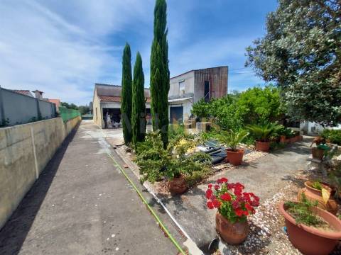 Moradia T2 com Piscina, Pomar e Garagens Duplas a 5 Minutos de Tomar &#124; Villarius