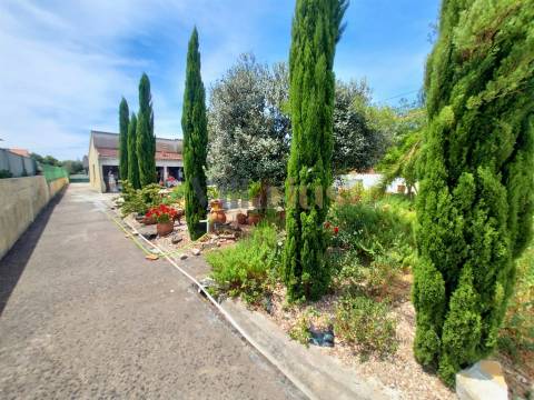 Moradia T2 com Piscina, Pomar e Garagens Duplas a 5 Minutos de Tomar &#124; Villarius