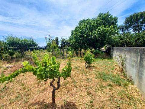 Moradia T2 com Piscina, Pomar e Garagens Duplas a 5 Minutos de Tomar &#124; Villarius