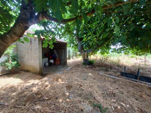 Moradia T2 com Piscina, Pomar e Garagens Duplas a 5 Minutos de Tomar &#124; Villarius