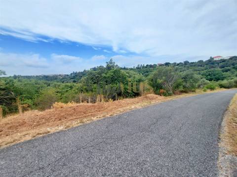 Terreno rústico 23.680 m² para investimento agrícola em Casais — Tomar &#124; Villarius