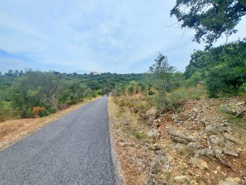 Terreno rústico 23.680 m² para investimento agrícola em Casais — Tomar &#124; Villarius