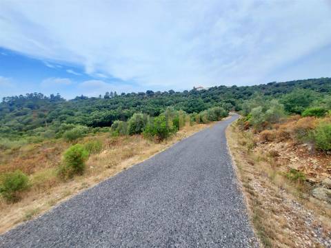 Terreno rústico 23.680 m² para investimento agrícola em Casais — Tomar &#124; Villarius