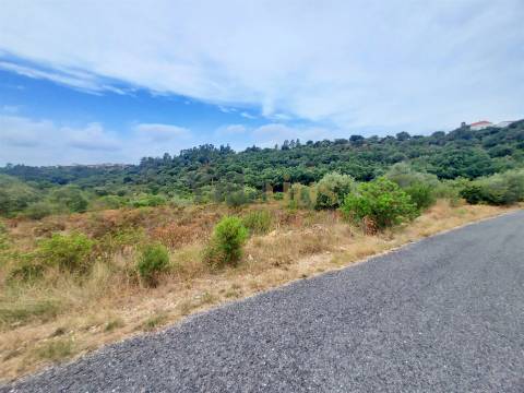 Terreno rústico 23.680 m² para investimento agrícola em Casais — Tomar &#124; Villarius