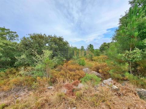 Terreno rústico 23.680 m² para investimento agrícola em Casais — Tomar &#124; Villarius