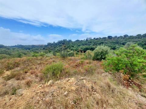 Terreno rústico 23.680 m² para investimento agrícola em Casais — Tomar &#124; Villarius