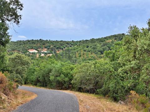 Terreno rústico 23.680 m² para investimento agrícola em Casais — Tomar &#124; Villarius