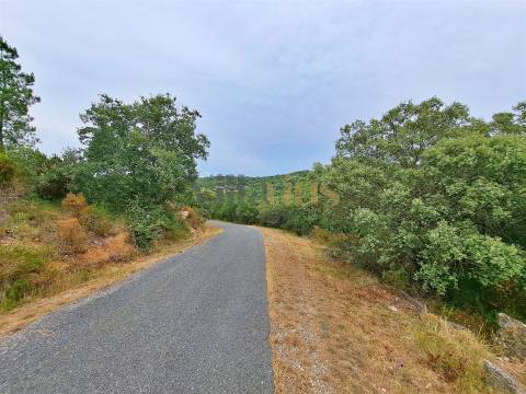 Terreno rústico 23.680 m² para investimento agrícola em Casais — Tomar &#124; Villarius