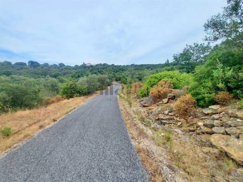 Terreno rústico 23.680 m² para investimento agrícola em Casais — Tomar &#124; Villarius