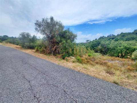 Terreno rústico 23.680 m² para investimento agrícola em Casais — Tomar &#124; Villarius