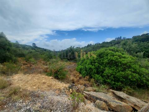 Terreno rústico 23.680 m² para investimento agrícola em Casais — Tomar &#124; Villarius