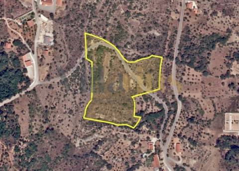 Terreno rústico 23.680 m² para investimento agrícola em Casais — Tomar &#124; Villarius
