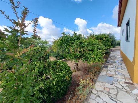 Moradia Térrea T3 com Jardim e Terreno Amplo a 5 Min de Tomar