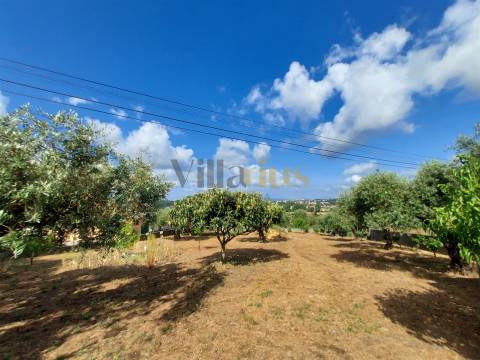 Moradia Térrea T3 com Jardim e Terreno Amplo a 5 Min de Tomar