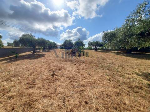 Moradia Térrea T3 com Jardim e Terreno Amplo a 5 Min de Tomar