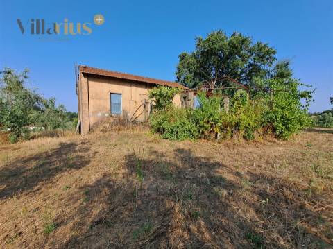 Terreno 11.460 m² com Projeto Aprovado — Tomar