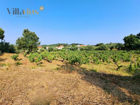 Terreno 11.460 m² com Projeto Aprovado — Tomar