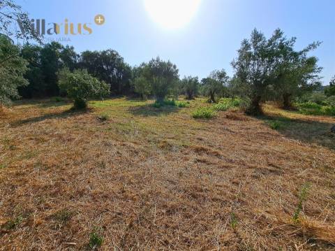 Terreno 11.460 m² com Projeto Aprovado — Tomar