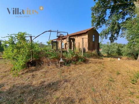 Terreno 11.460 m² com Projeto Aprovado — Tomar