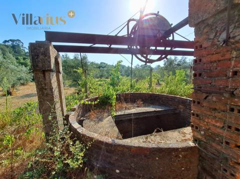 Terreno 11.460 m² com Projeto Aprovado — Tomar