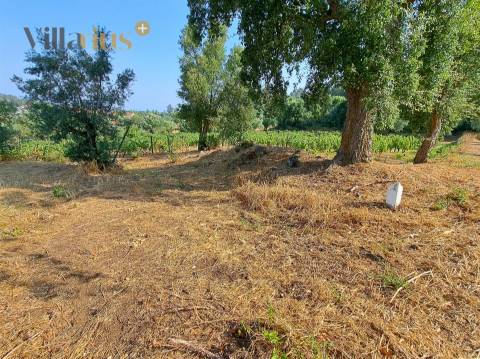 Terreno 11.460 m² com Projeto Aprovado — Tomar