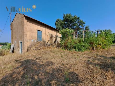 Terreno 11.460 m² com Projeto Aprovado — Tomar