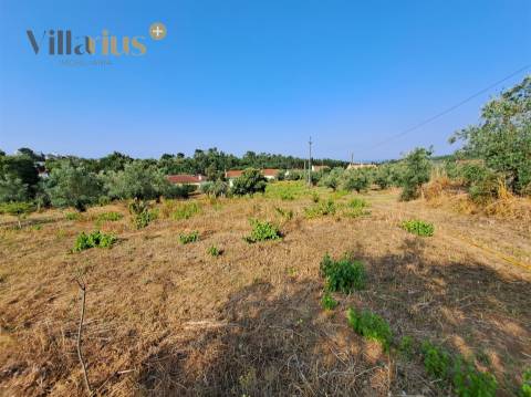Terreno 11.460 m² com Projeto Aprovado — Tomar
