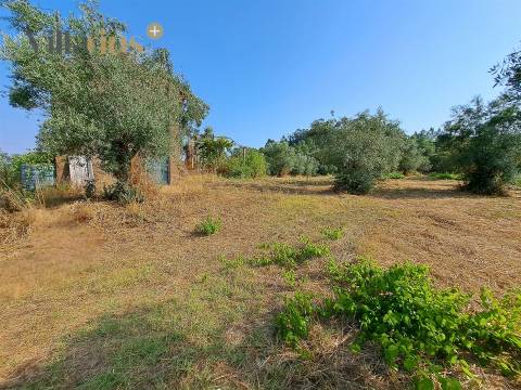Terreno 11.460 m² com Projeto Aprovado — Tomar