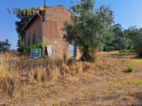 Terreno 11.460 m² com Projeto Aprovado — Tomar