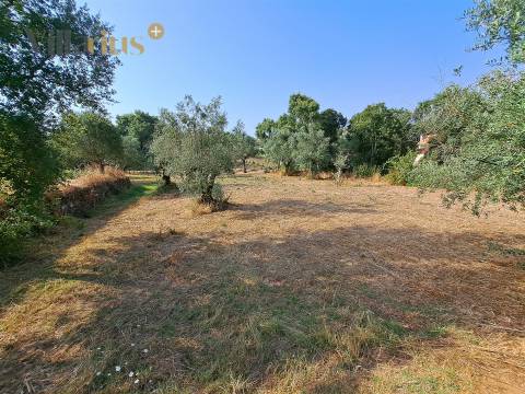 Terreno 11.460 m² com Projeto Aprovado — Tomar