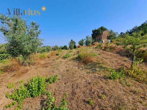 Terreno 11.460 m² com Projeto Aprovado — Tomar