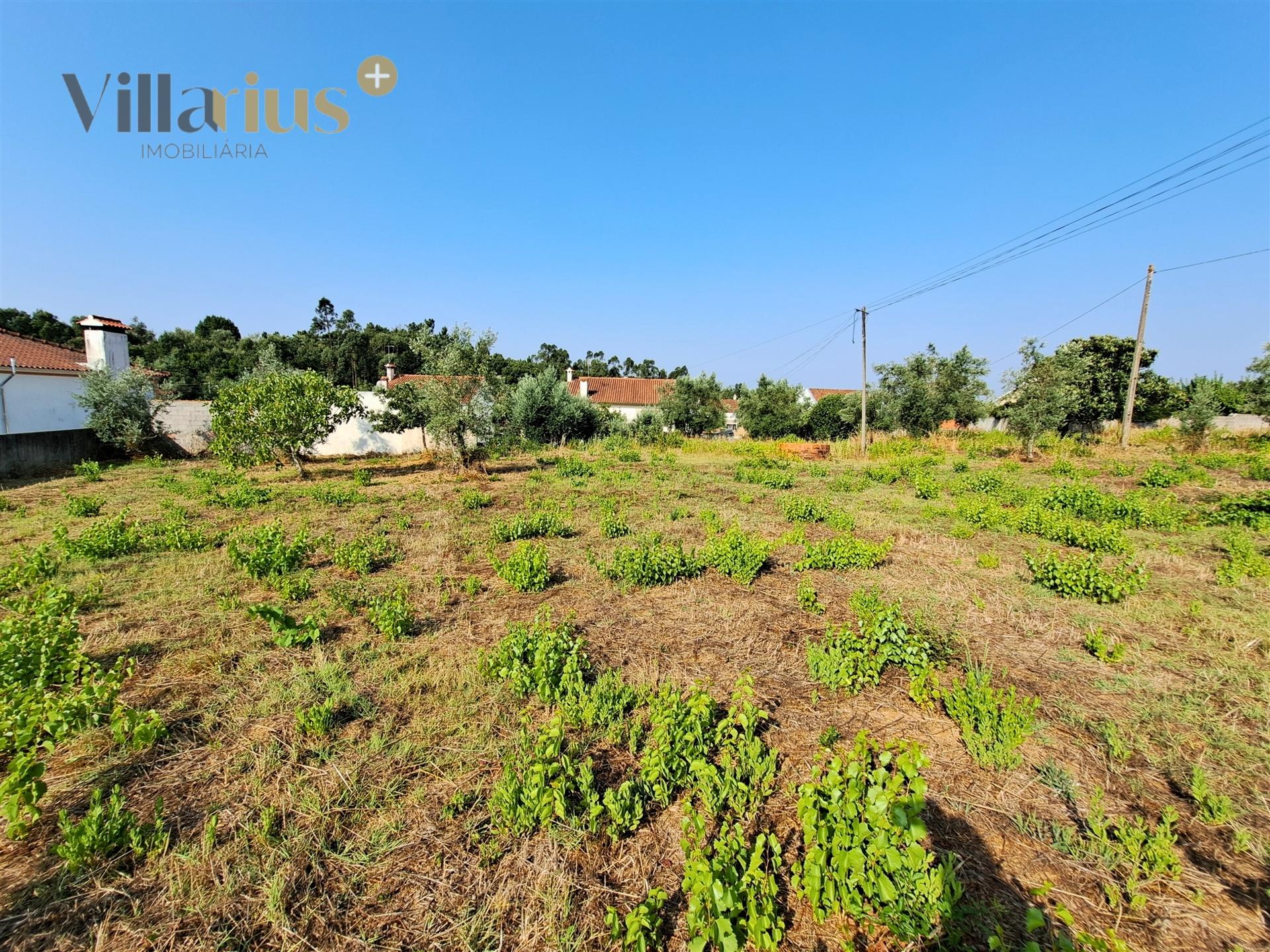 Terreno 11.460 m² com Projeto Aprovado — Tomar