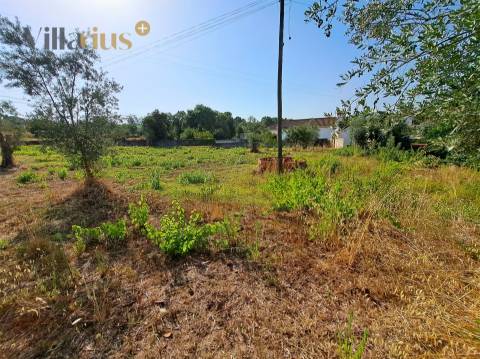 Terreno 11.460 m² com Projeto Aprovado — Tomar