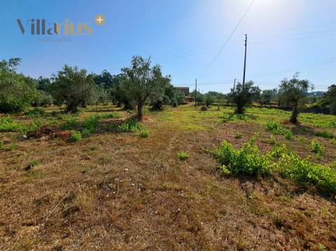 Terreno 11.460 m² com Projeto Aprovado — Tomar