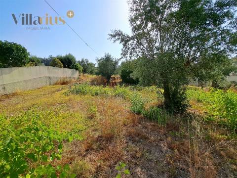Terreno 11.460 m² com Projeto Aprovado — Tomar