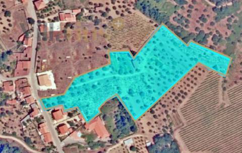 Terreno 11.513 m² com Projeto Aprovado — Tomar