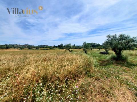 Moradia com terreno em Tomar — 13.800 m² e pomar