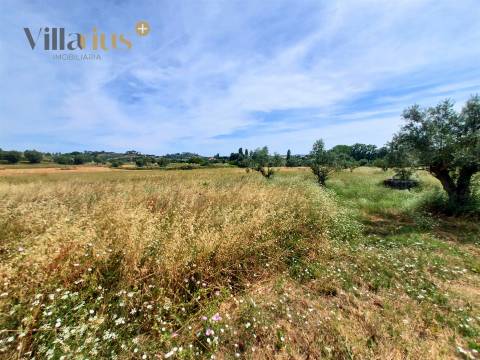 Moradia com terreno em Tomar — 13.800 m² e pomar