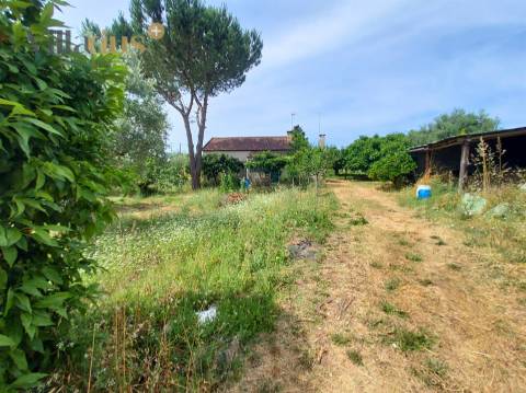 Moradia com terreno em Tomar — 13.800 m² e pomar