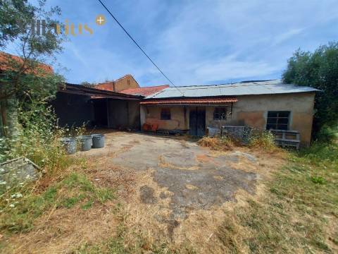 Moradia com terreno em Tomar — 13.800 m² e pomar