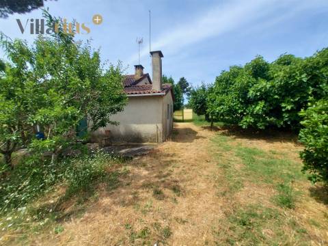 Moradia com terreno em Tomar — 13.800 m² e pomar