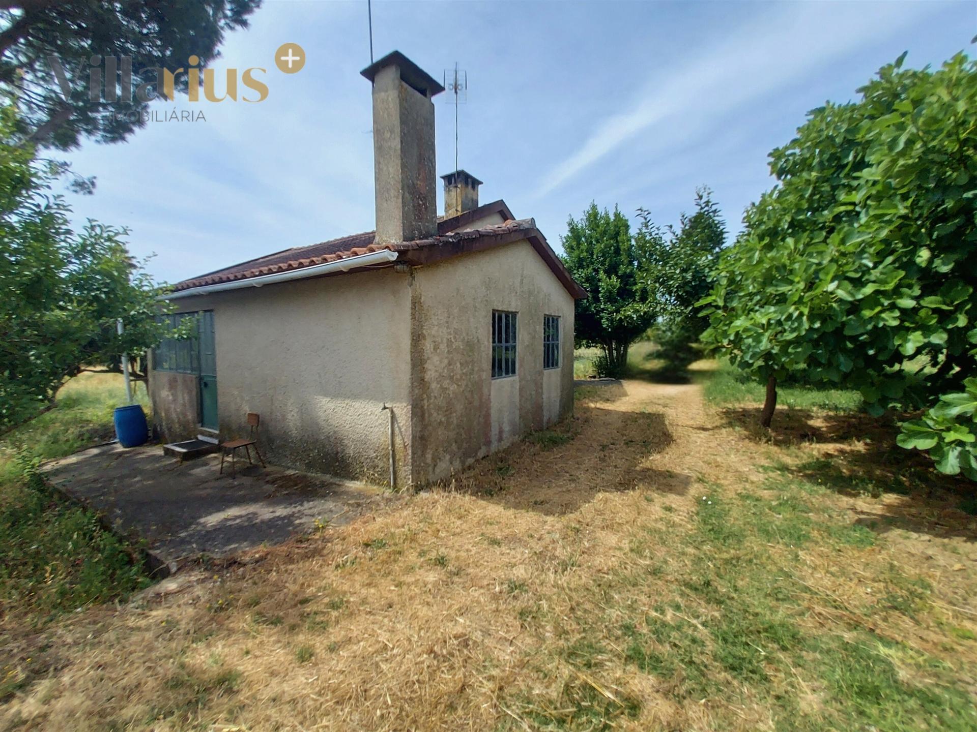 Moradia com terreno em Tomar — 13.800 m² e pomar