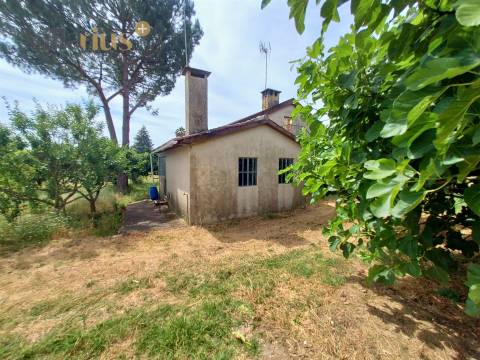 Moradia com terreno em Tomar — 13.800 m² e pomar