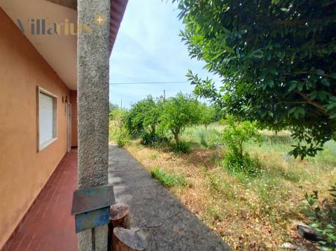 Moradia com terreno em Tomar — 13.800 m² e pomar