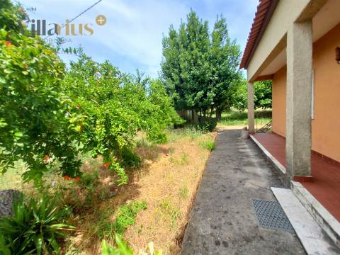 Moradia com terreno em Tomar — 13.800 m² e pomar